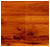 australian cypress